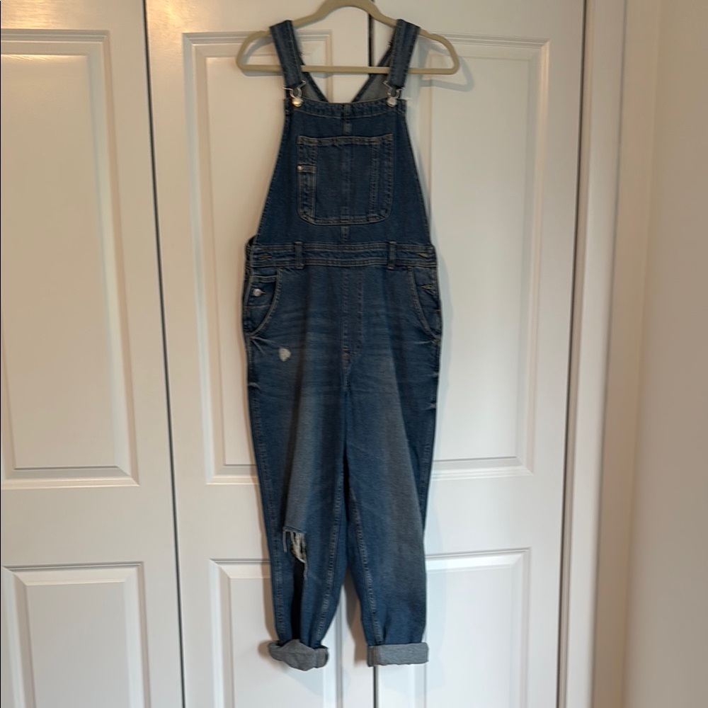 Zara Blue Denim Jumpsuit